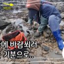 안면도덤앤더머