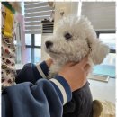 시화유치원 이미지