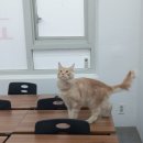 과학교습소