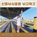 조암낚시터 | 제주도 낚시체험 가족여행 아이랑 가볼 만한 곳 신흥바다낚시공원 낚고락고