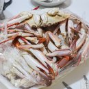 가락동퀵서비스 | 가락시장 수산시장 꽃게 가격 시세 퀵 배달 후기