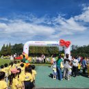 기쁨예능어린이집 이미지