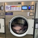 다모아세탁빨래방 네이버블로그