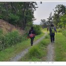 만경산 산림욕장 이미지