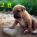디자인헤윰 이미지