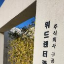 주식회사본가김해점 | 김해공항 근처 카페와 렌터카가 조화를 이룬 이쁜 이색 카페 카페위드렌터카 방문 후기