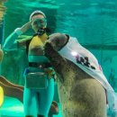 (주)이게임스퀘어 이미지