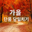 계족산황톳길 | 친구들과 떠난 하루! 대전 장태산 단풍길부터 계족산 황톳길까지, 완벽했던 당일치기 여행 후기