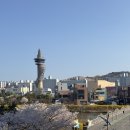 속초가좋아서울에서온 치과의원 | 속초 2박 3일