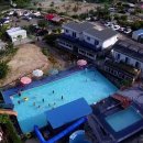 바다의별 이미지