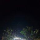 레아네팜 이미지