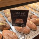 스윗하모니 | 대전 성심당 DCC 스윗한통밀