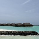 화이트벨리 | 몰디브 벨리간두 리조트 선셋 오션 풀빌라 5박 및 부대시설 후기