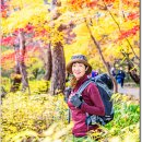 금강공원2 이미지