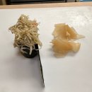 11545-10-12-06 | 오사카 키타신치 스시 오마카세 오카자키 후기 | 실제 가격·메뉴 구성 총정리