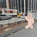 2024 기획공연 뮤지컬(트리아웃) | 🗽250807 NEW YORK (타임스스퀘어/브라이언트파크/킨스스테이크/MoMA모마/알라딘)