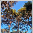 삼랑진역 이미지