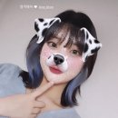 조에룸 이미지