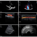 브리즈 동물병원 이미지