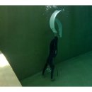 부산스킨스쿠버 부산 해양 세계로의 초대, 욜로다이브 후기