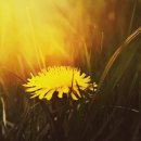 서울J플란트치과의원 이미지