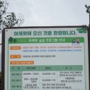 금요공감 꽃별의 고요의 시간 | 피톤치드 가득한 아름다운 머체왓숲길 2코스 소롱콧길