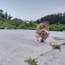 울릉마당 | 울릉도펜션 중 부모님 댁 같은 편안함｜울릉힐하우스 숙소 후기