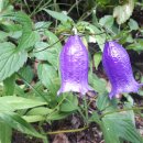 금강1농장 이미지