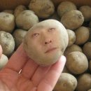 참이맛 뼈다귀 이미지