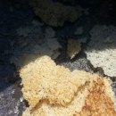 가마솥에누룽지 이미지