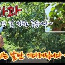 흥농상회 이미지