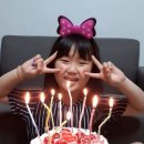 성균관대국가대표 태권도장 이미지