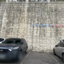 GS25대구효목점 네이버블로그