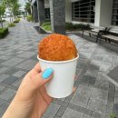 세종꽈배기 맛집 어진동 챔피언꽈배기 솔직후기