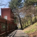 봉학골산림욕장 이미지