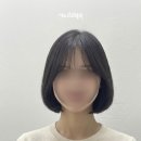 리피헤어