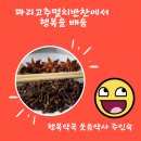 매일행복약국 이미지