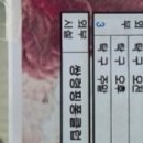 셔플댄스(야간) 이미지