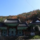 미암 정책브리핑