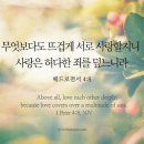 오늘의 '영어성경 사진'(540강) “뜨겁게 서로 사랑하세요”(베드로전서 4장 8절) 이미지