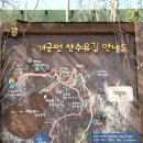 경기 양평 산수유 정보화마을 네이버블로그
