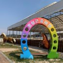 홍성군 승마장 이미지