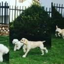 놀러왕왕왕 이미지