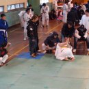 동천백산유술회
