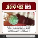 금세치과의원 이미지