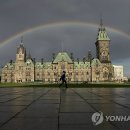 무지개 하이 이미지