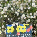 진안앤퓨전