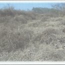 경주시양북면용동보건진료소 | [토지(답)경매 낙찰비법] 2018타경 6415ф경북 경주시 양북면 용동리 1210-3 경매 수익성분석