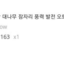 위미위드미게스트하우스 이미지