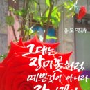 당신이꽃 이미지